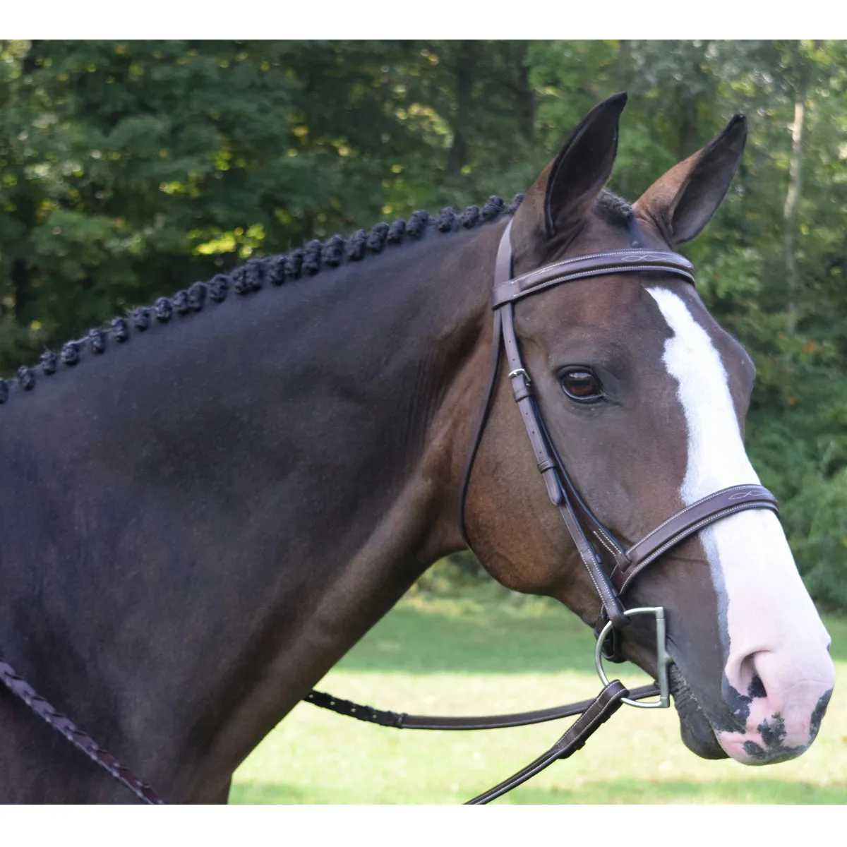 Black Oak by KL Select Spruce Hunter Bridle