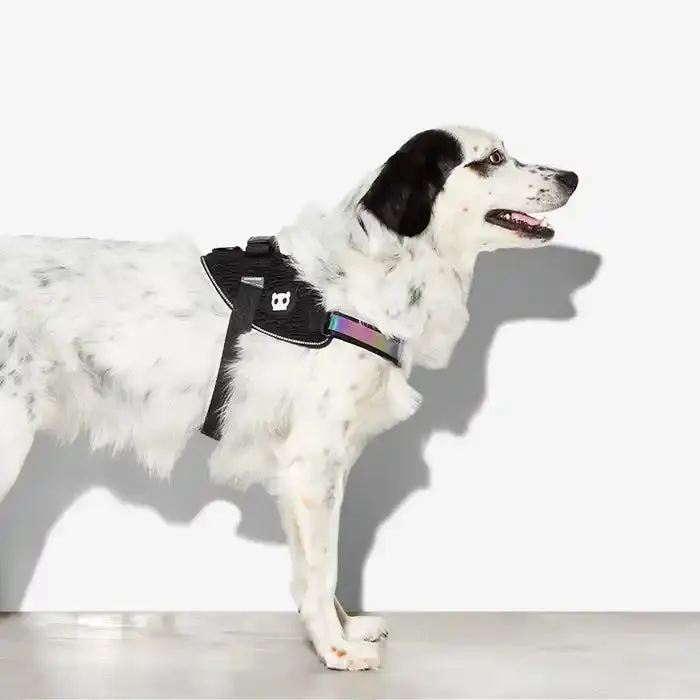 FlyHarness Dog Harness