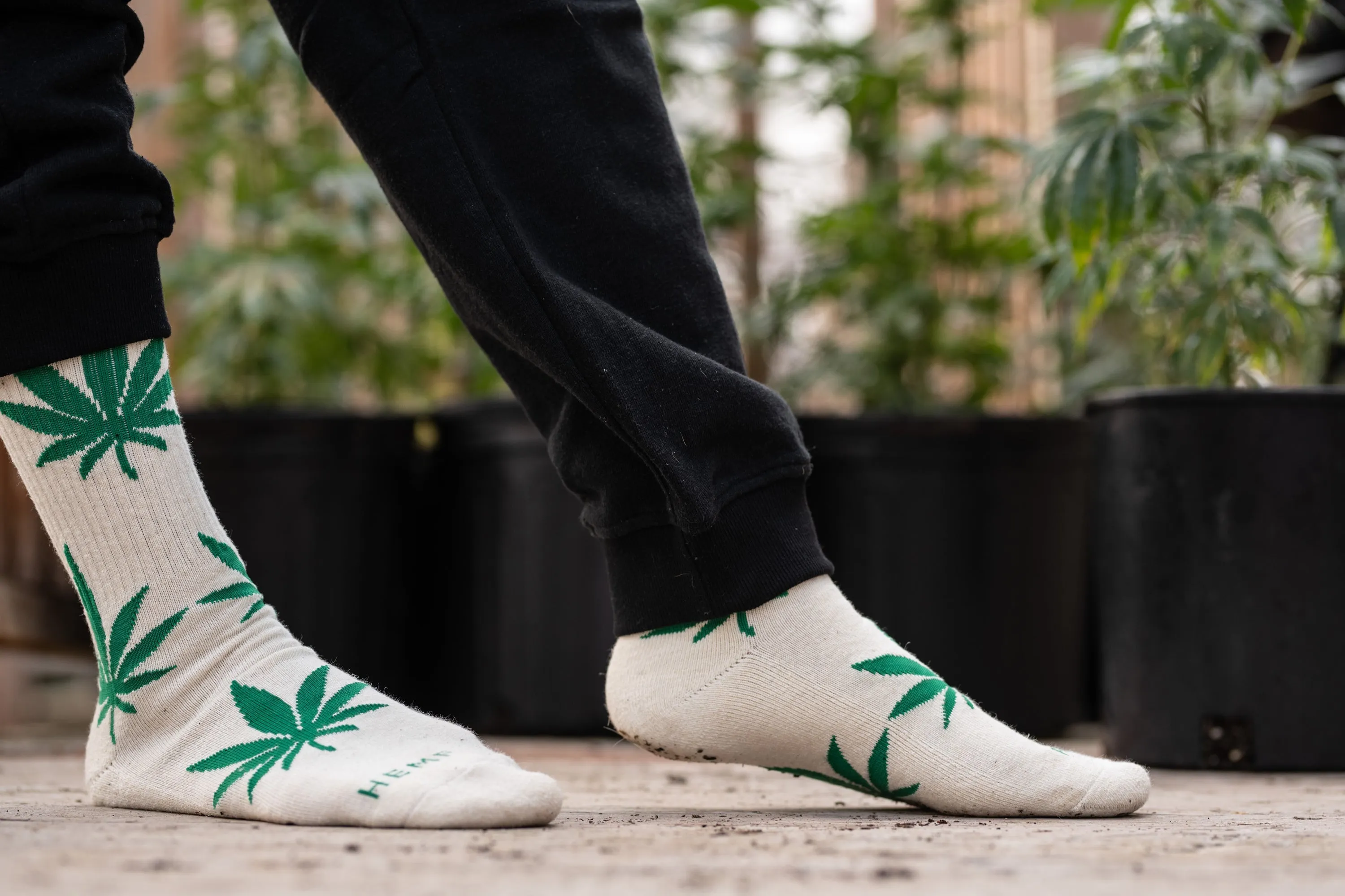 HEMP LUCKY LEAF CREW SOCKS