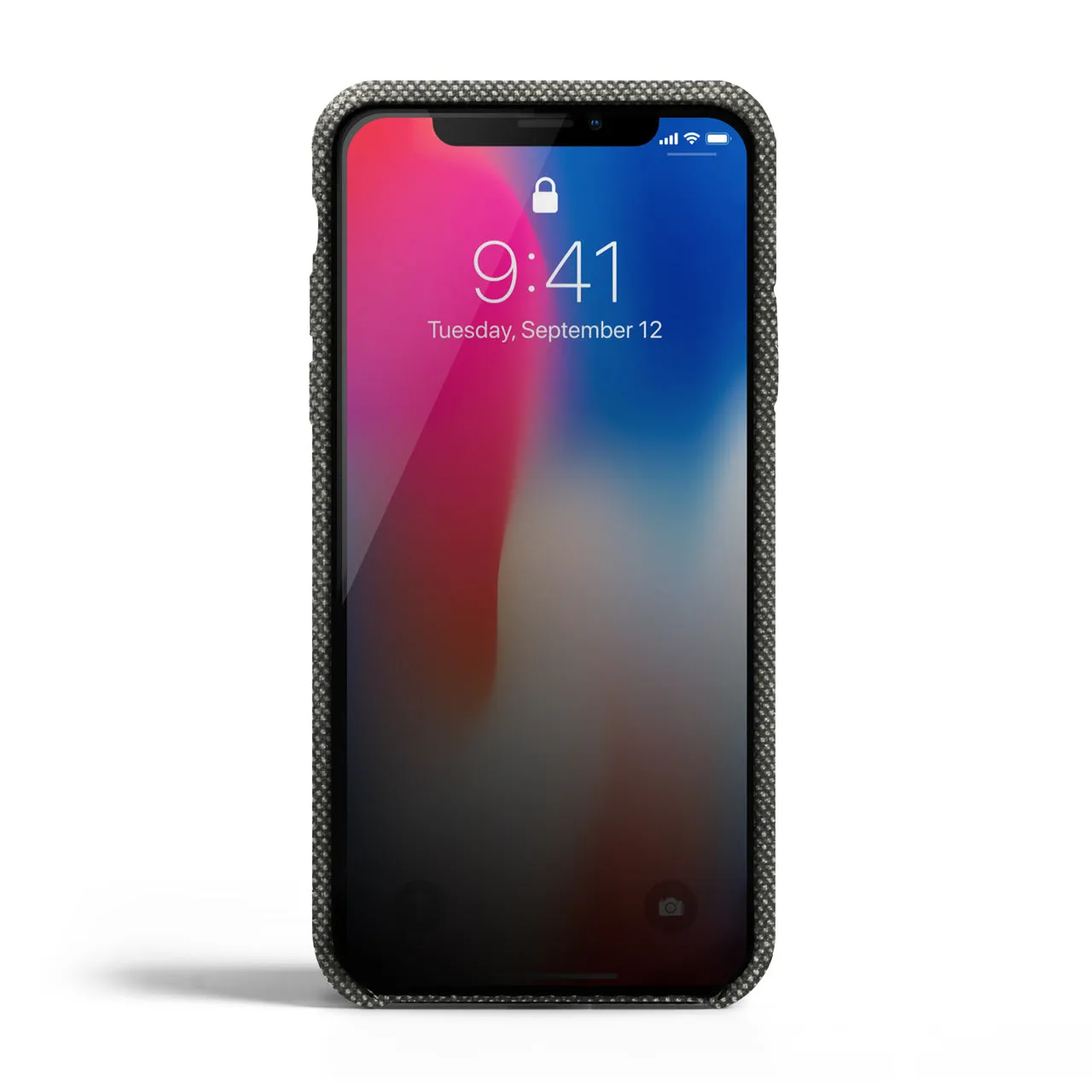 iPhone X/Xs Case - Bird's Eye - Rock