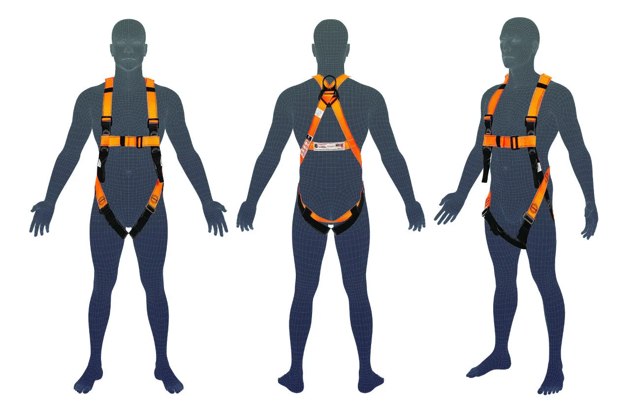 LINQ H101 Essential Harness M-L  H101