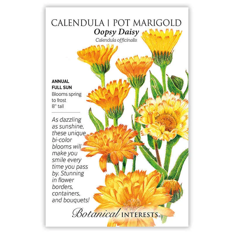 Oopsy Daisy Calendula (Pot Marigold) Seeds