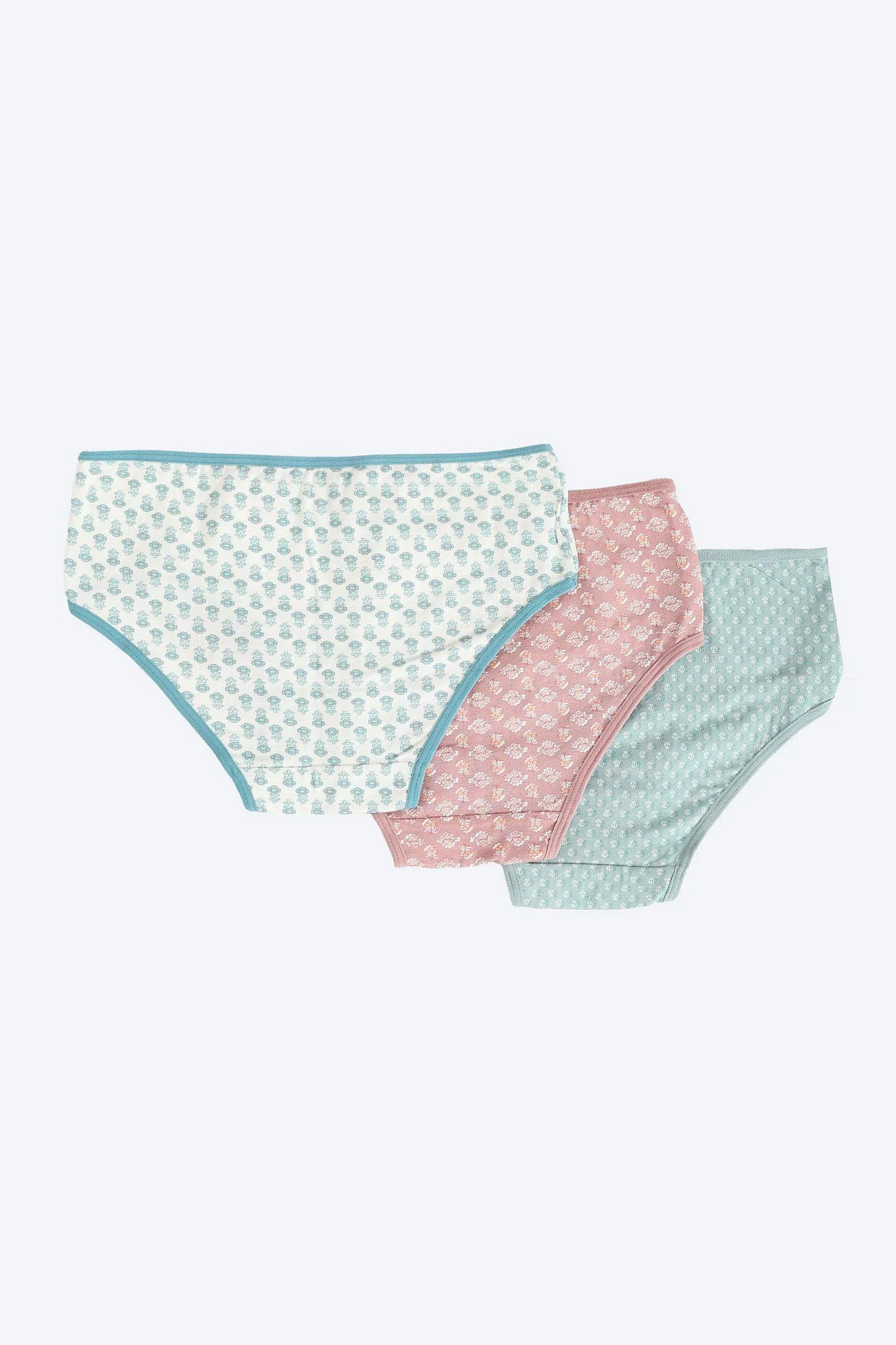 Pack of 3 Colored Brief Panties