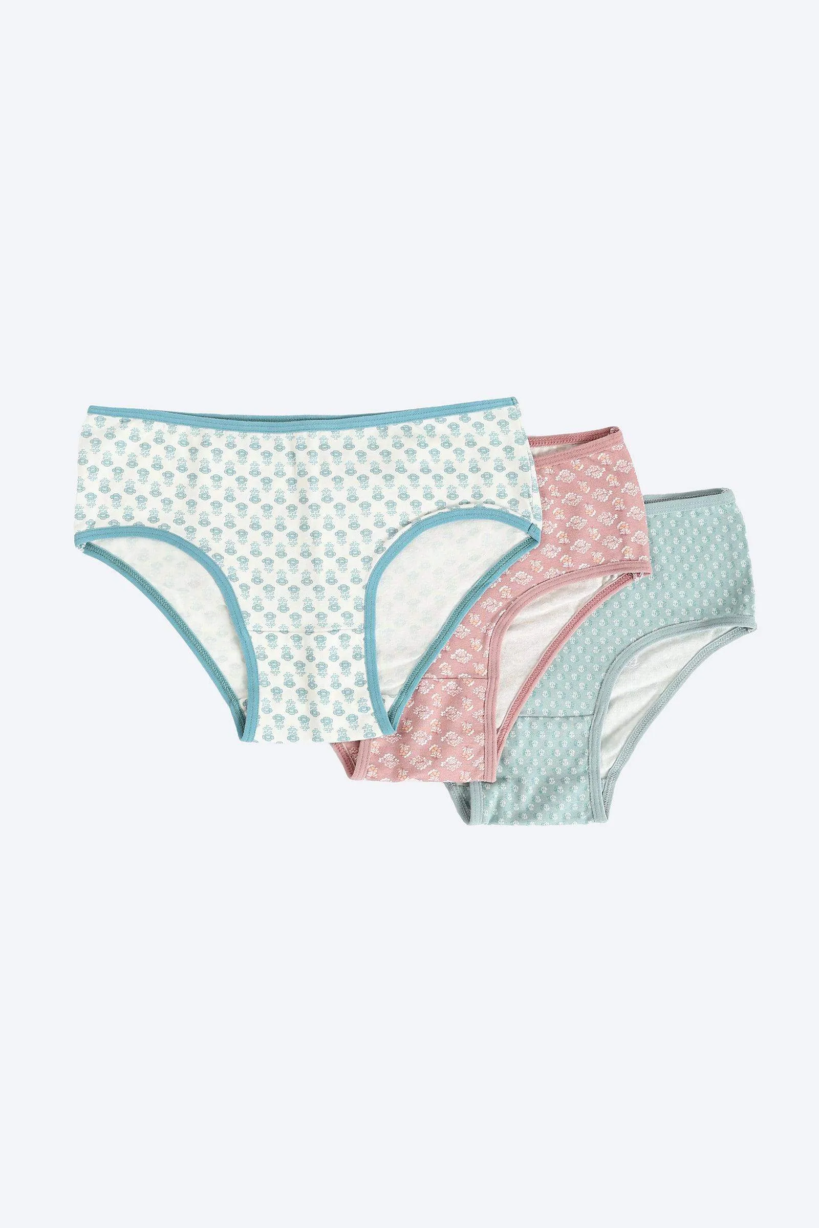 Pack of 3 Colored Brief Panties