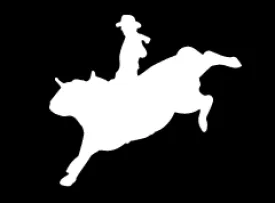 "Bull Rider 5" High Performance Vinyl Decal