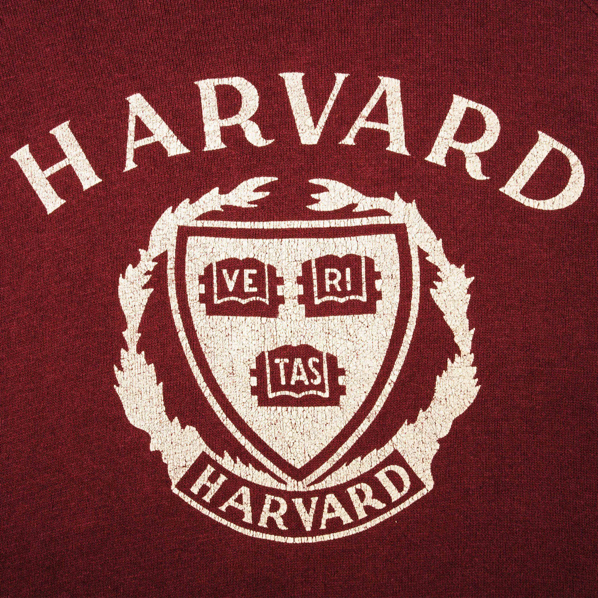 VINTAGE CHAMPION HARVARD UNIVERSITY SWEATSHIRT 1980S LARGE MADE IN USA